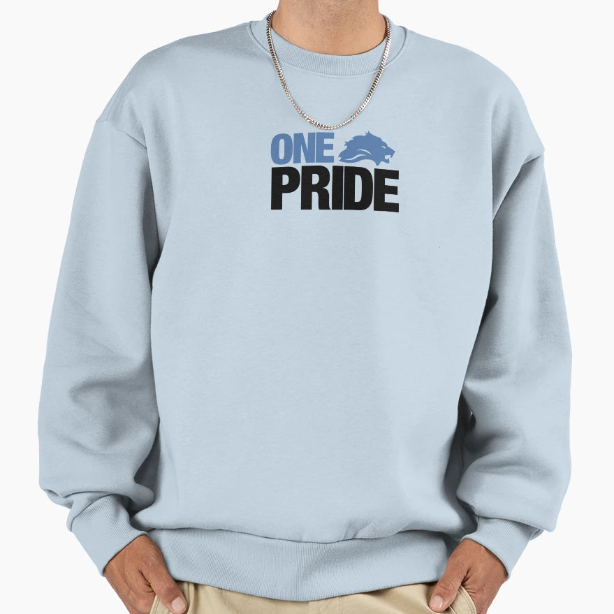 One Pride Sweatshirt - Aesthetic Graphic Unisex - T-Shirt, Sweatshirt, Hoodie