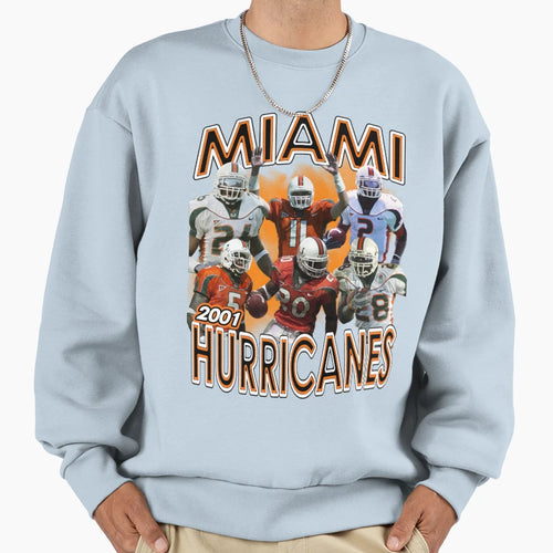 2001 Miami Championship Team Sweatshirt - Custom Art Print for Adults - T-Shirt, Sweatshirt, Hoodie
