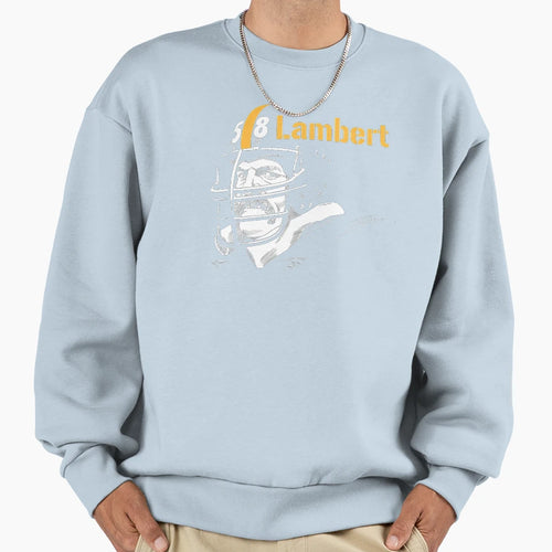 Pittsburgh Steelers Sweatshirt - Aesthetic Graphic for Adults - T-Shirt, Sweatshirt, Hoodie