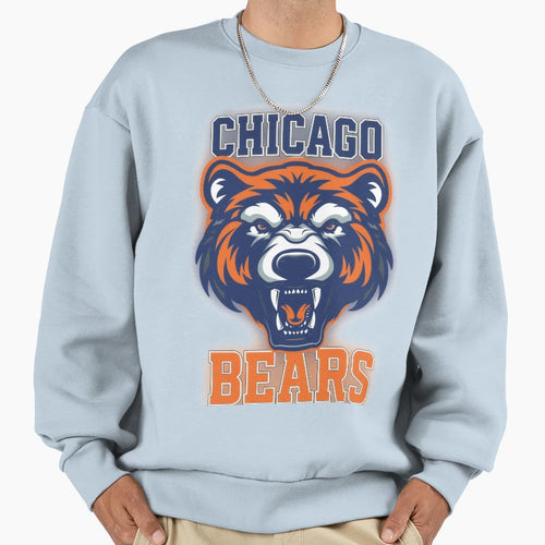 Chicago Bears Football Team 1 Sweatshirt - Casual Everyday Wear Men Women - T-Shirt, Sweatshirt, Hoodie