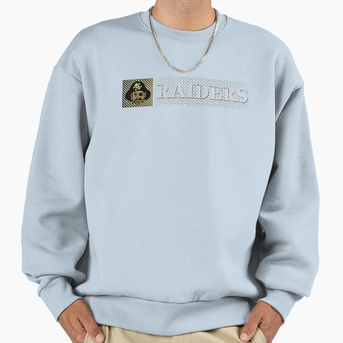 Decatur Raiders 6 Sweatshirt - Custom Art Print Unisex - T-Shirt, Sweatshirt, Hoodie
