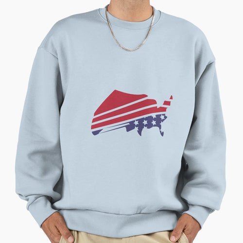 American Independence Day Flag T-Shirt - Casual Everyday Wear Unisex - T-Shirt, Sweatshirt, Hoodie