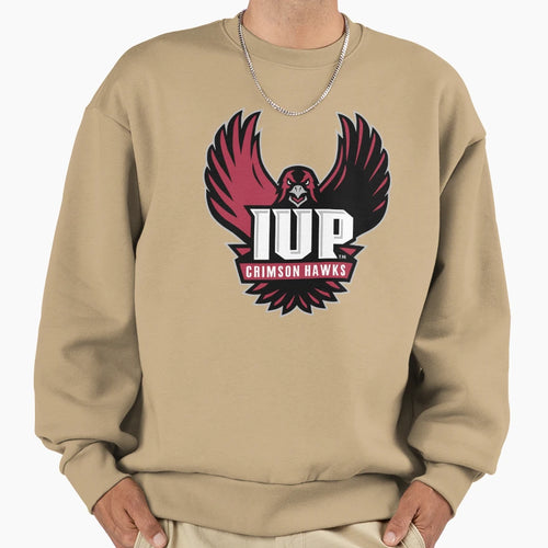 Hawks Gifts Sweatshirt - Novelty Apparel Unisex - T-Shirt, Sweatshirt, Hoodie