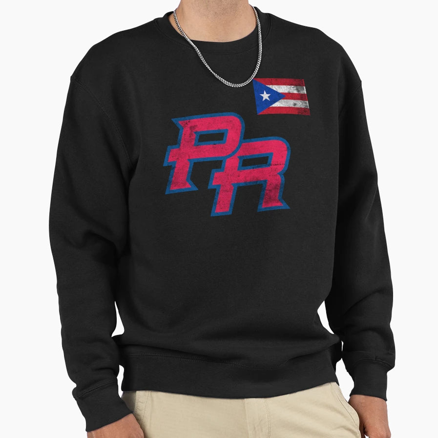 Puerto Rico 2023 Baseball Flag Pride T-Shirt - Unique Graphic for Adults - T-Shirt, Sweatshirt, Hoodie