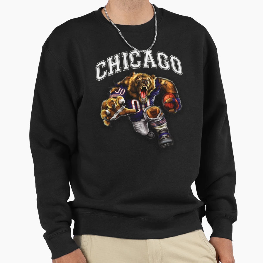 Chicago Football Detroit Lions Sweatshirt - Casual Everyday Wear Men Women - T-Shirt, Sweatshirt, Hoodie