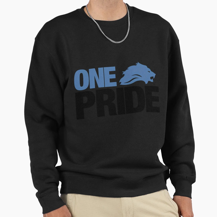 One Pride Sweatshirt - Minimalist Print Men Women - T-Shirt, Sweatshirt, Hoodie