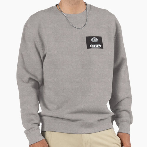 Birmingham Iron Aaf Football Sweatshirt - Fun Novelty Design for Adults - T-Shirt, Sweatshirt, Hoodie